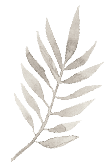 Fern Watercolor Graphic for Wedding Website